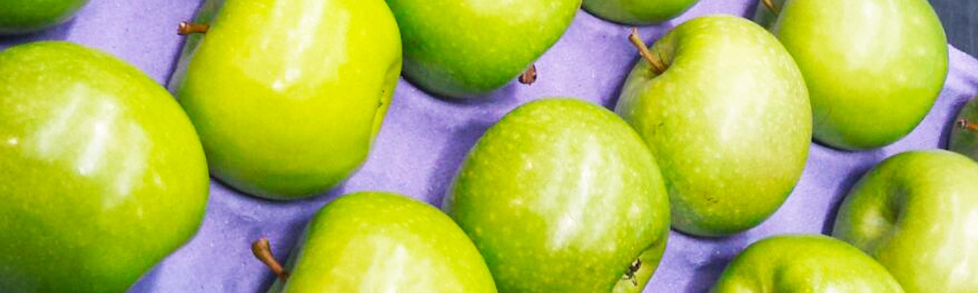 eliovero import/export - Our apples