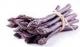 PURPLE ASPARAGUS