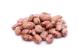 BORLOTTI BEANS